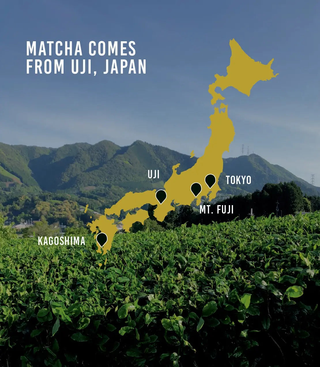 Unjonotomo Ceremonial Matcha (Extra Thick Grade) Harney & Sons Fine Teas