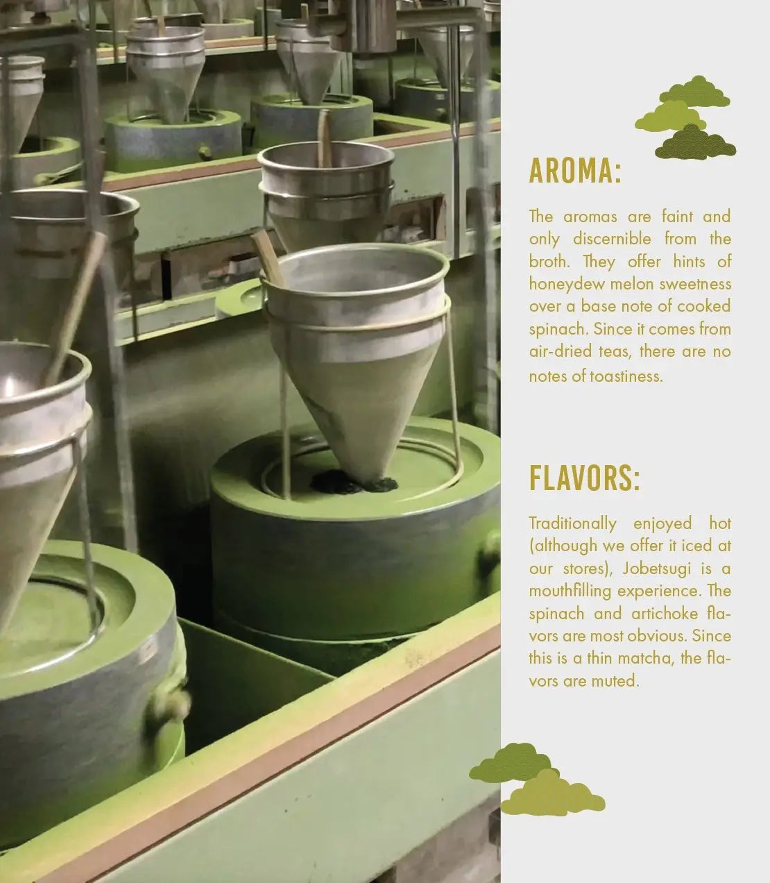 Senjunomukashi Ceremonial Matcha (Thick Grade) Harney & Sons Fine Teas