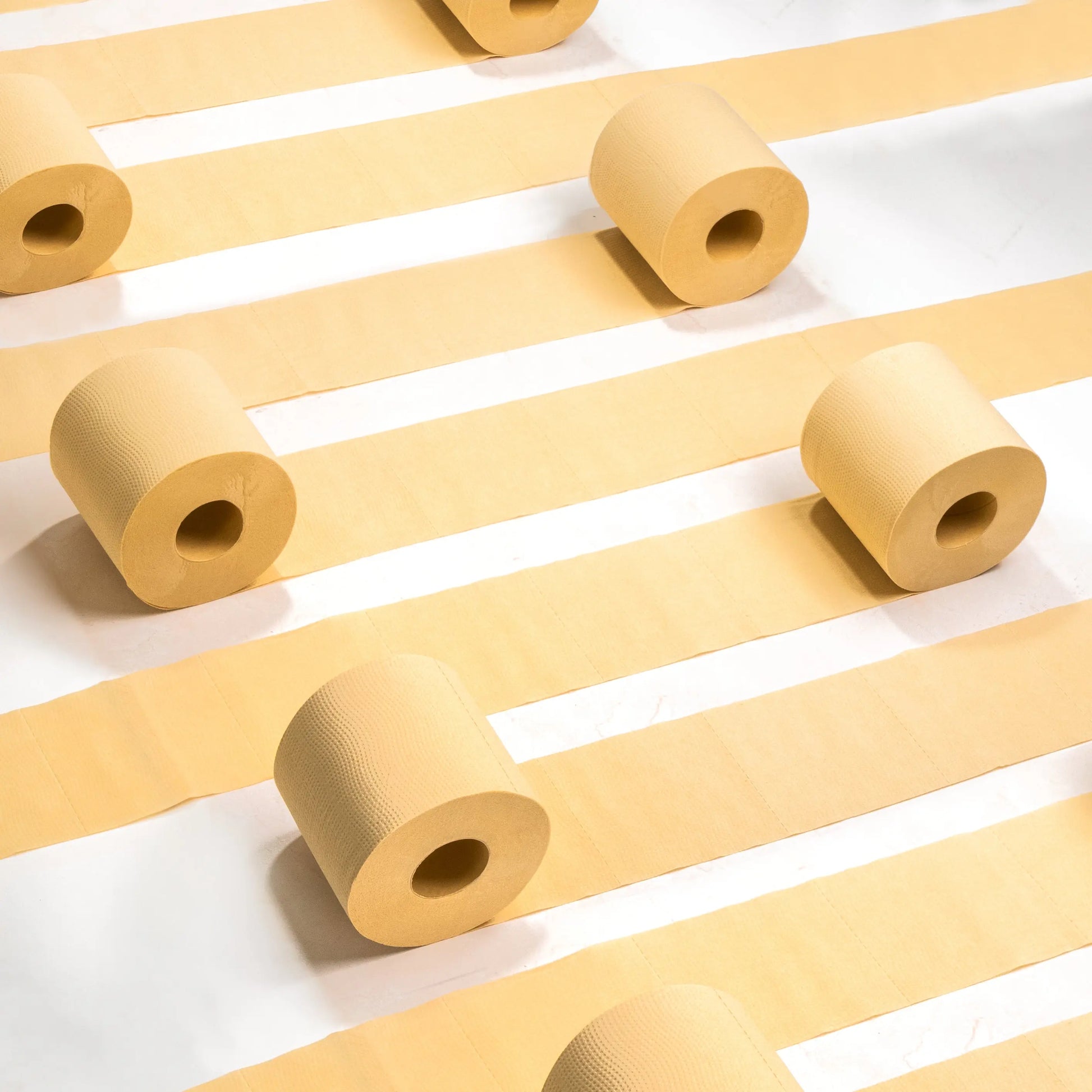 Panda Eco Paper | Bamboo Toilet Paper Sample Rustic Strength