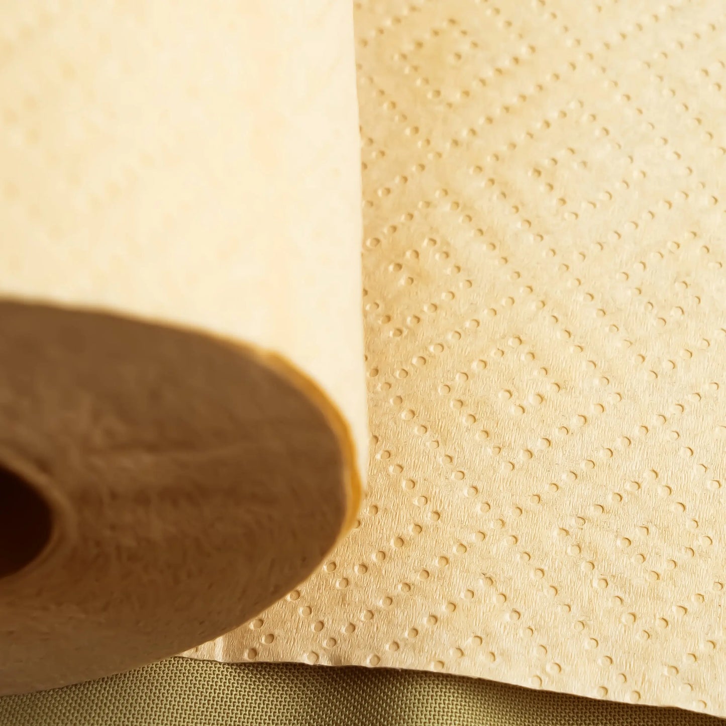Panda Eco Paper | Bamboo Paper Towel Sample Rustic Strength