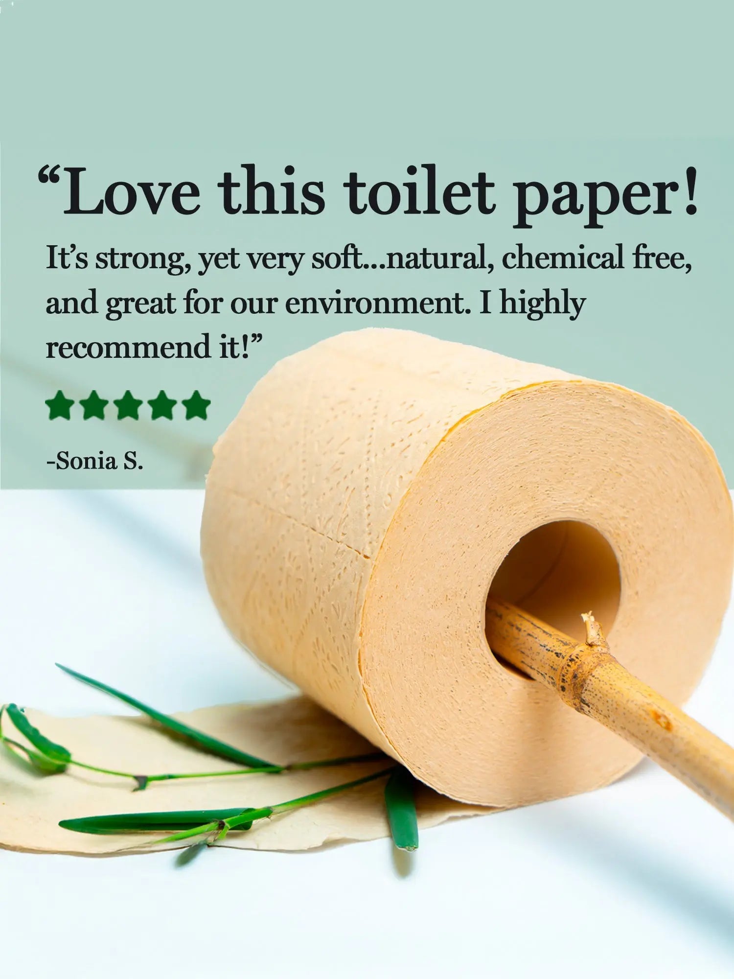Panda Eco Paper | Bamboo Toilet Paper Sample Rustic Strength
