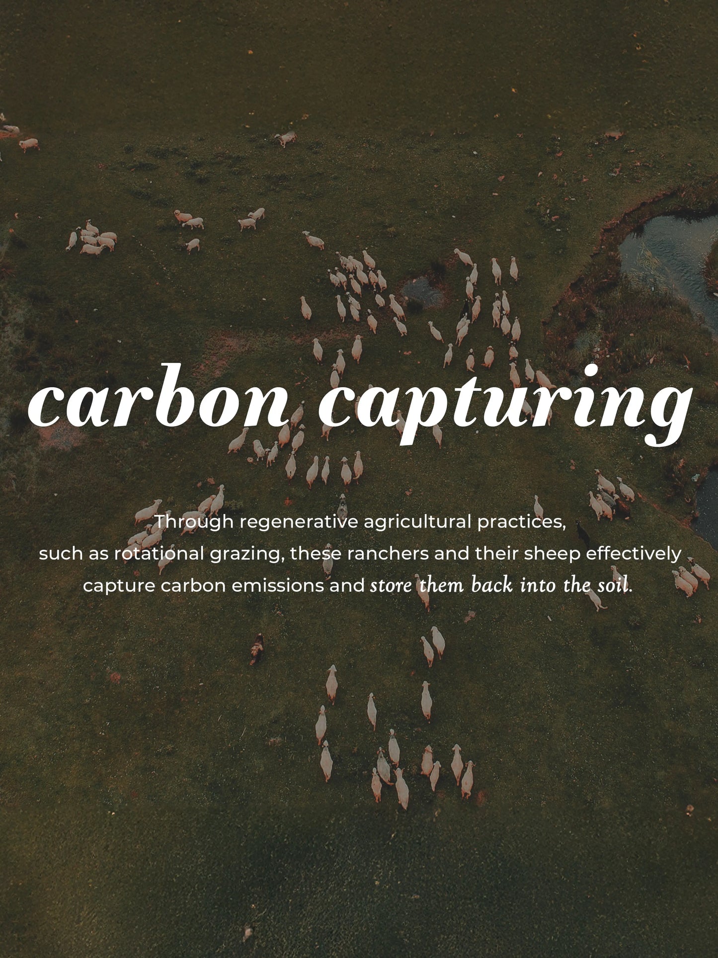 Jumbo Wool Dryer Balls ( 3 pack ) Rustic Strength