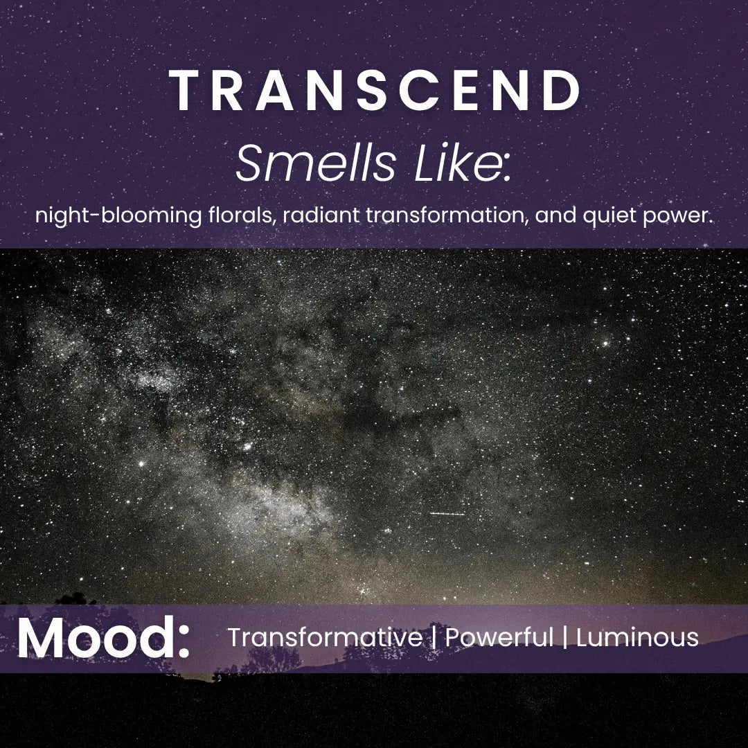 Transcend – Black Plum, Jasmine, & Sandalwood Room Spray Vibe & Glo Candle Studio