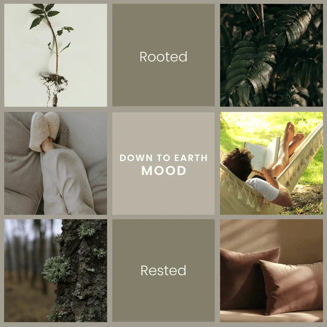 Down to Earth – Oakmoss & Amber Room Spray Vibe & Glo Candle Studio