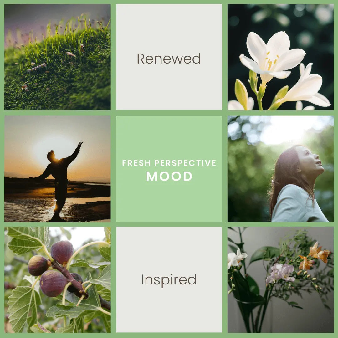 Fresh Perspective – Fig, Freesia, & Moss Room Spray Vibe & Glo Candle Studio